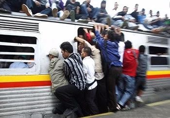 1547110419994520.jpg 5.jpg